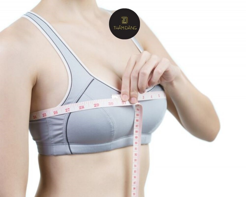 bust là gì theo chuẩn size Việt Nam
