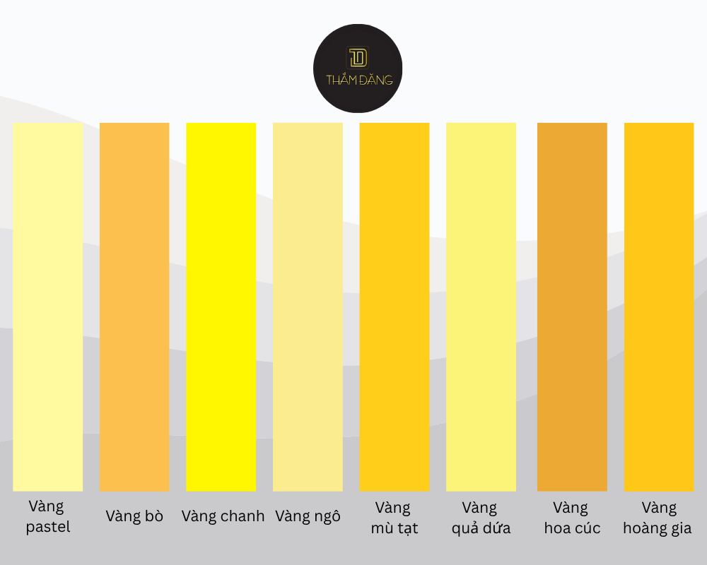 màu vàng phối với màu gì tạo điểm nhấn